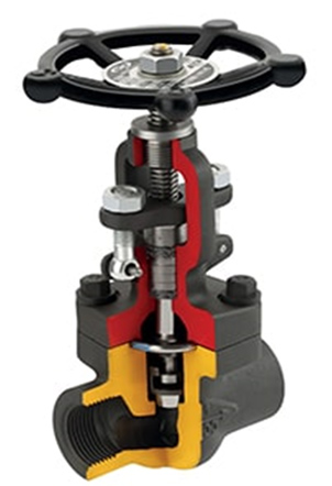 Forged Steel Globe Valve