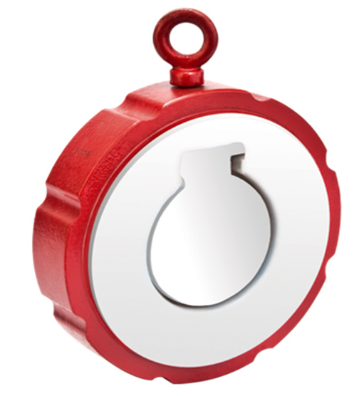 Lined Wafer Check Valve